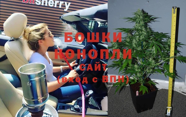 гидра Зеленокумск