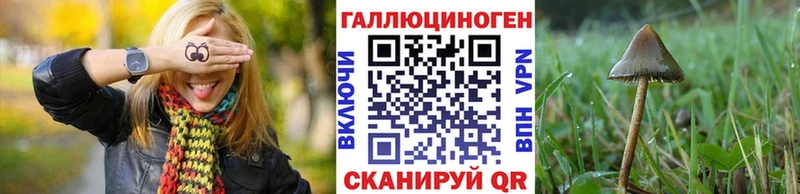 Галлюциногенные грибы Magic Shrooms  кракен вход  Сковородино 